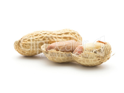 Raw peanut isolated on white