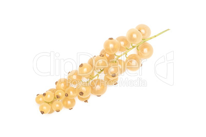 Fresh white currant berries  isolated on white