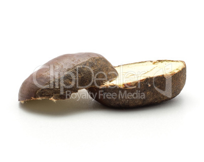 Raw edible Chestnut isolated on white