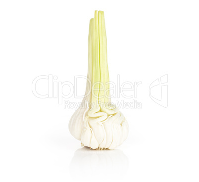 Fresh young garlic isolated on white