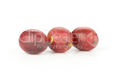 Fresh raw red gooseberry isolated on white