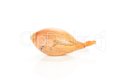 Fresh raw long shallot onion isolated on white