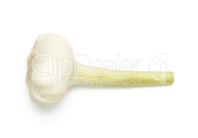 Fresh young garlic isolated on white