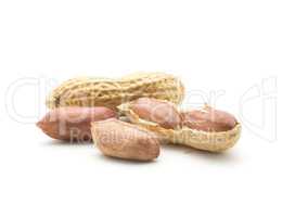 Raw peanut isolated on white