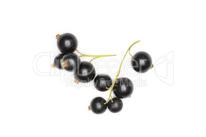 Fresh Raw Black Currant berry isolated on white