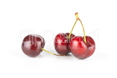 Fresh raw sweet red cherry isolated on white