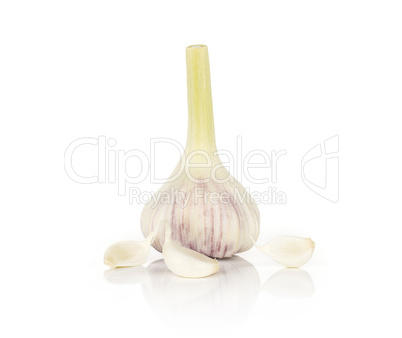 Fresh young garlic isolated on white