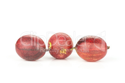 Fresh raw red gooseberry isolated on white