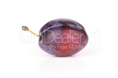 Fresh Raw vibrant plums isolated on white