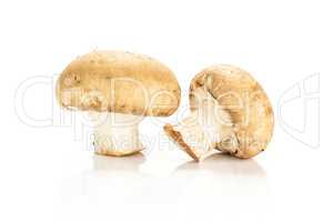 Fresh raw brown champignons isolated on white