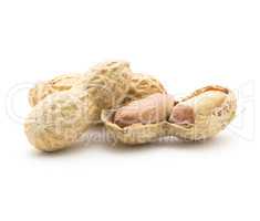 Raw peanut isolated on white