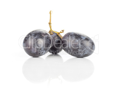 Fresh Black Wine Grapes isolated on white