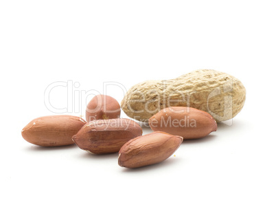 Raw peanut isolated on white