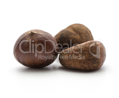 Raw edible Chestnut isolated on white