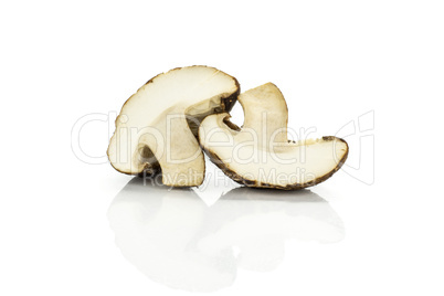 Fresh raw shitake mushroom isolated on white