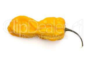 One Habanero chili top view yellow hot pepper isolated on white