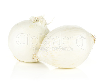 Fresh raw white onion isolated on white