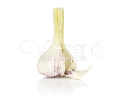 Fresh young garlic isolated on white