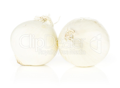 Fresh raw white onion isolated on white