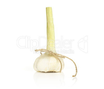 Fresh young garlic isolated on white Fresh young garlic isolated on white