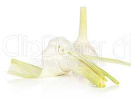 Fresh young garlic isolated on white