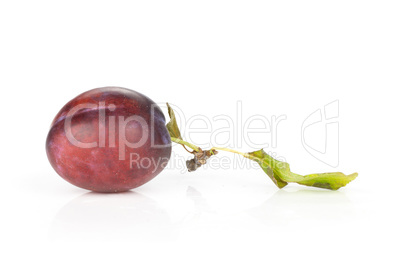 Fresh Raw vibrant plums isolated on white