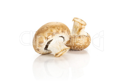 Fresh raw brown champignons isolated on white