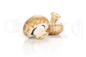 Fresh raw brown champignons isolated on white