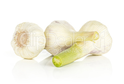 Fresh young garlic isolated on white