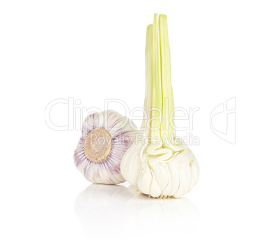 Fresh young garlic isolated on white