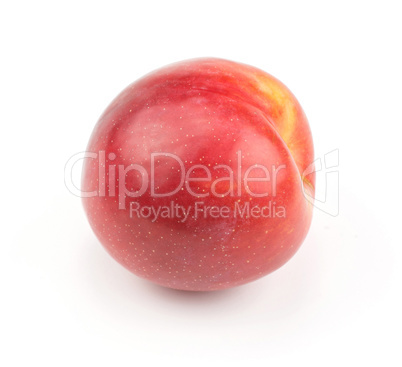 Fresh Red Plum isolated on white