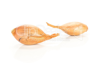 Fresh raw long shallot onion isolated on white