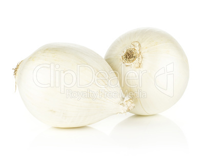 Fresh raw white onion isolated on white