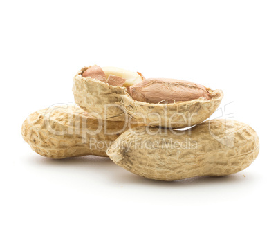 Raw peanut isolated on white