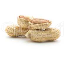 Raw peanut isolated on white