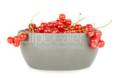 Fresh raw red currant isolated on white