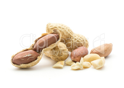 Raw peanut isolated on white