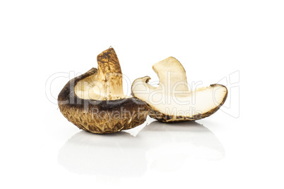 Fresh raw shitake mushroom isolated on white