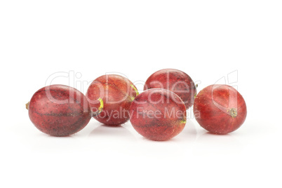 Fresh raw red gooseberry isolated on white