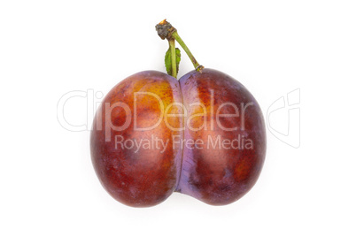 Fresh Raw vibrant plums isolated on white