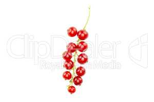 Fresh raw red currant isolated on white