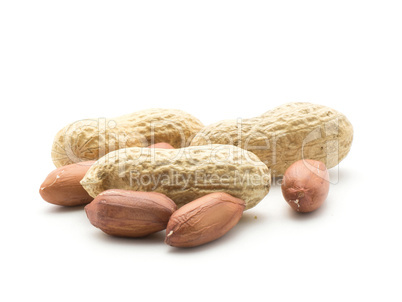 Raw peanut isolated on white