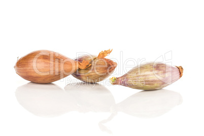 Fresh raw long shallot onion isolated on white