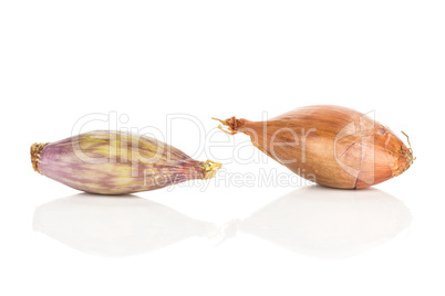 Fresh raw long shallot onion isolated on white