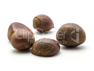 Raw edible Chestnut isolated on white