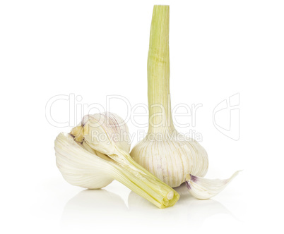 Fresh young garlic isolated on white