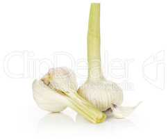 Fresh young garlic isolated on white