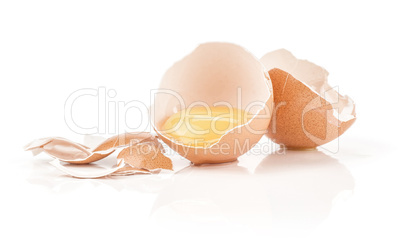 Fresh Chicken Egg isolated on white