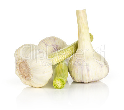 Fresh young garlic isolated on white