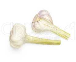 Fresh young garlic isolated on white